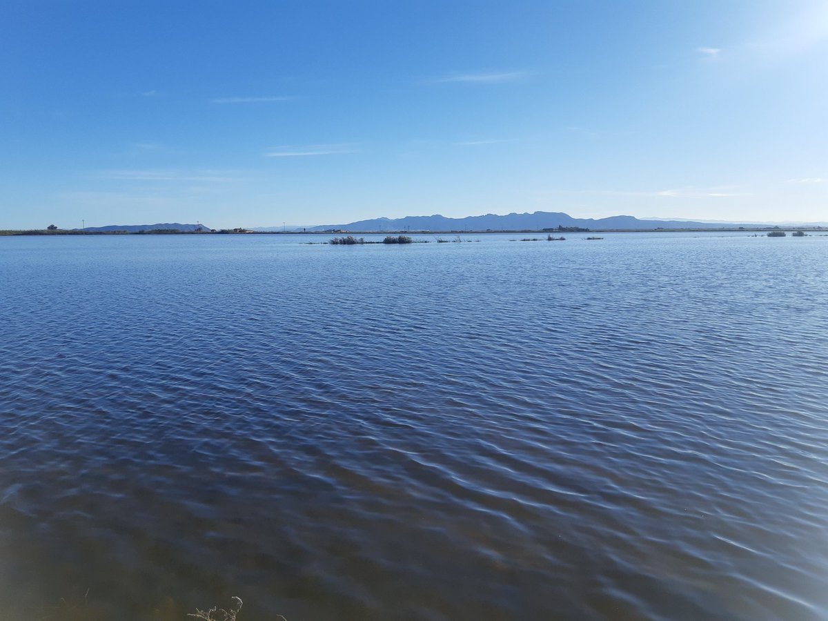 Con la perellonà, la inundación invernal de los arrozales, l'Albufera recupera la antigua extensión de la laguna. Una imagen con la que viajar al pasado, cuando hace apenas 300 años el azul de sus aguas se extendía hasta perderse en el horizonte