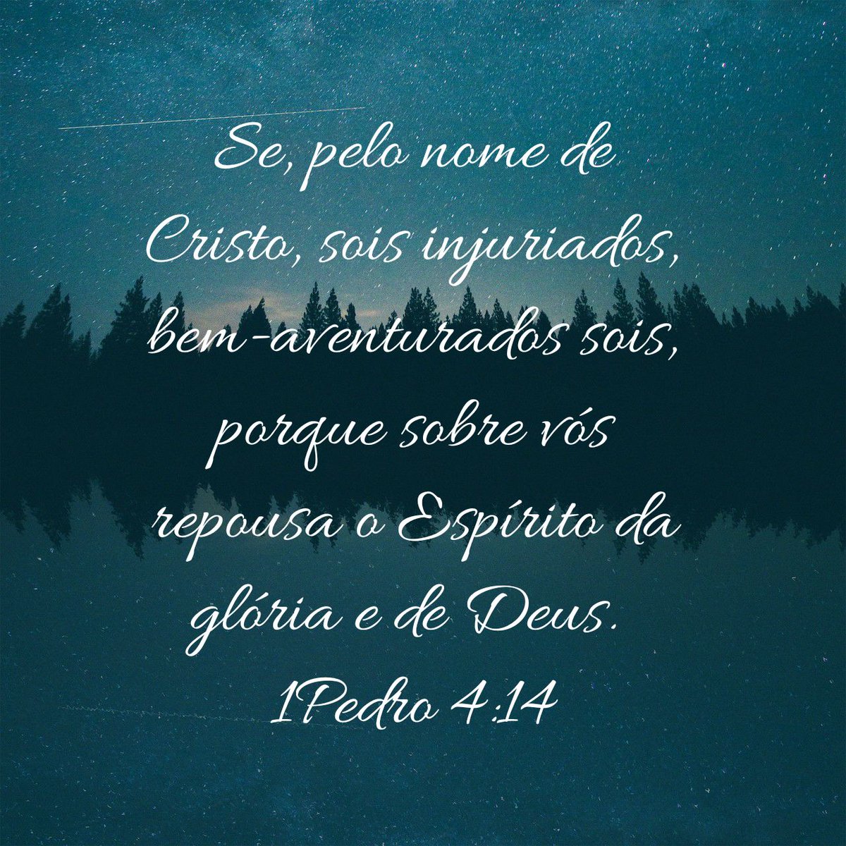 Ana Paula Rozeno tweet media