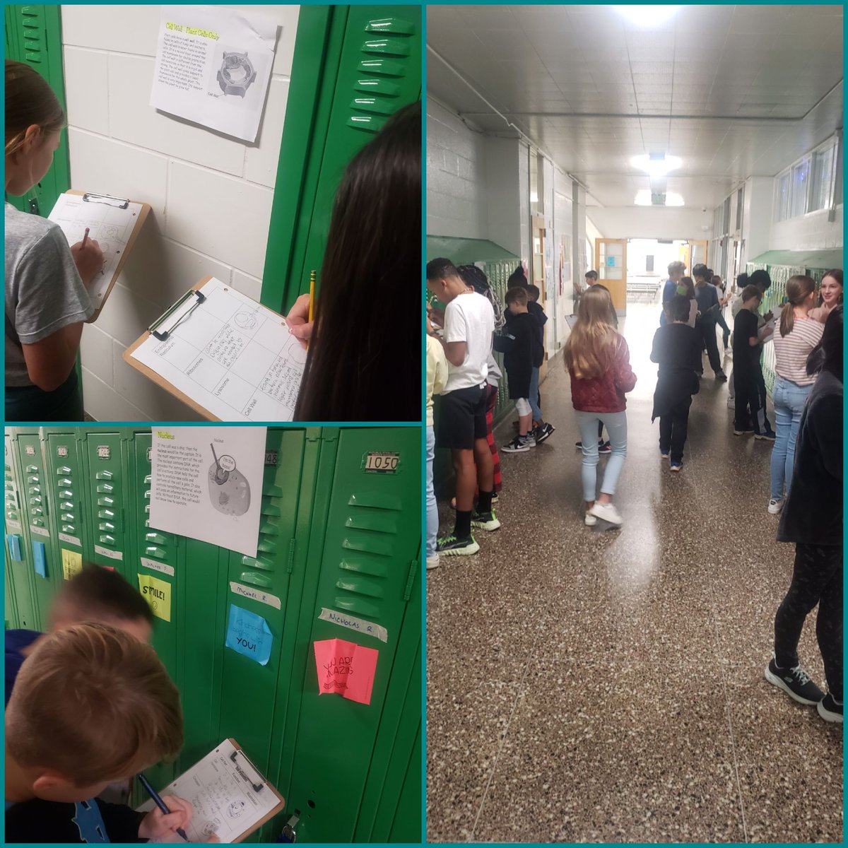 Learning through motion. Gallery Walk <a href="/ArundelMiddle/">Arundel Middle</a>