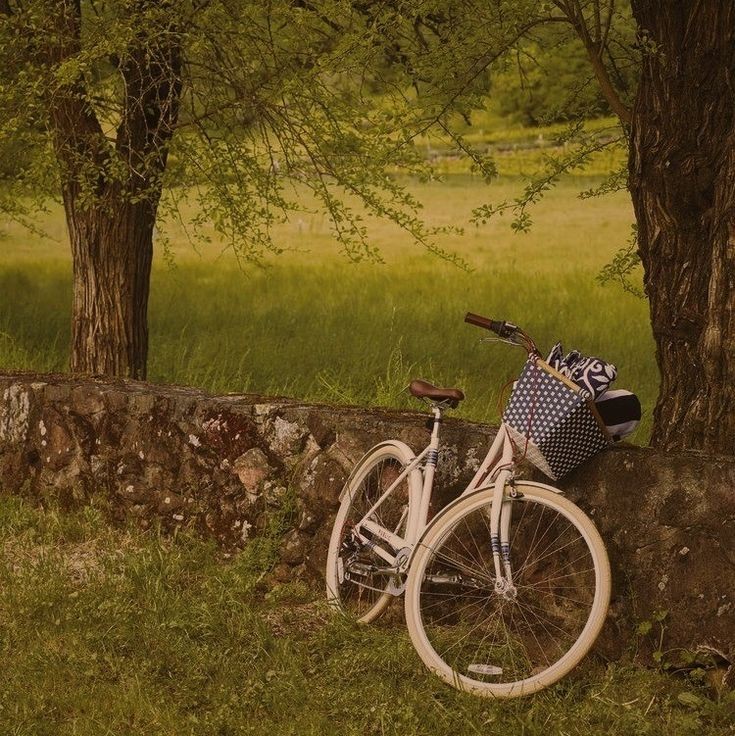 softdeIicacy's tweet photo. a glimpse of a serene life. https://t.co/yDHXaeUWEI