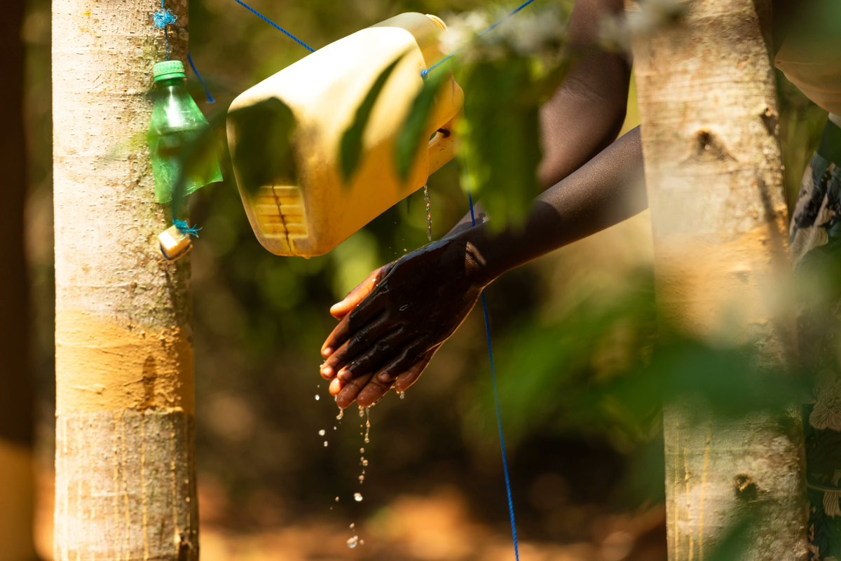 This #GivingTuesday you can give clean water and transform a life. Give today and we'll match every dollar so you have twice the impact: buff.ly/2IPZeWp