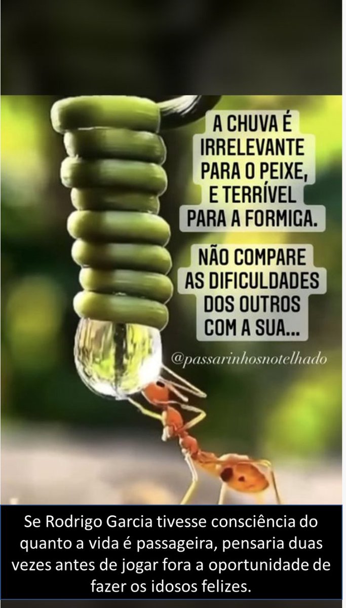 Mariade98543231's tweet photo. "Deputado, um poder que se serve, ao invés de servir, é um poder que não serve. Paute PLC1/21! @DalbenDirceu @estevamgalvao Dep. Márcio da Farmácia  @republicanos10 @podemos19 #DevolvaRodrigoGarcia " https://t.co/tm00VFAaTW