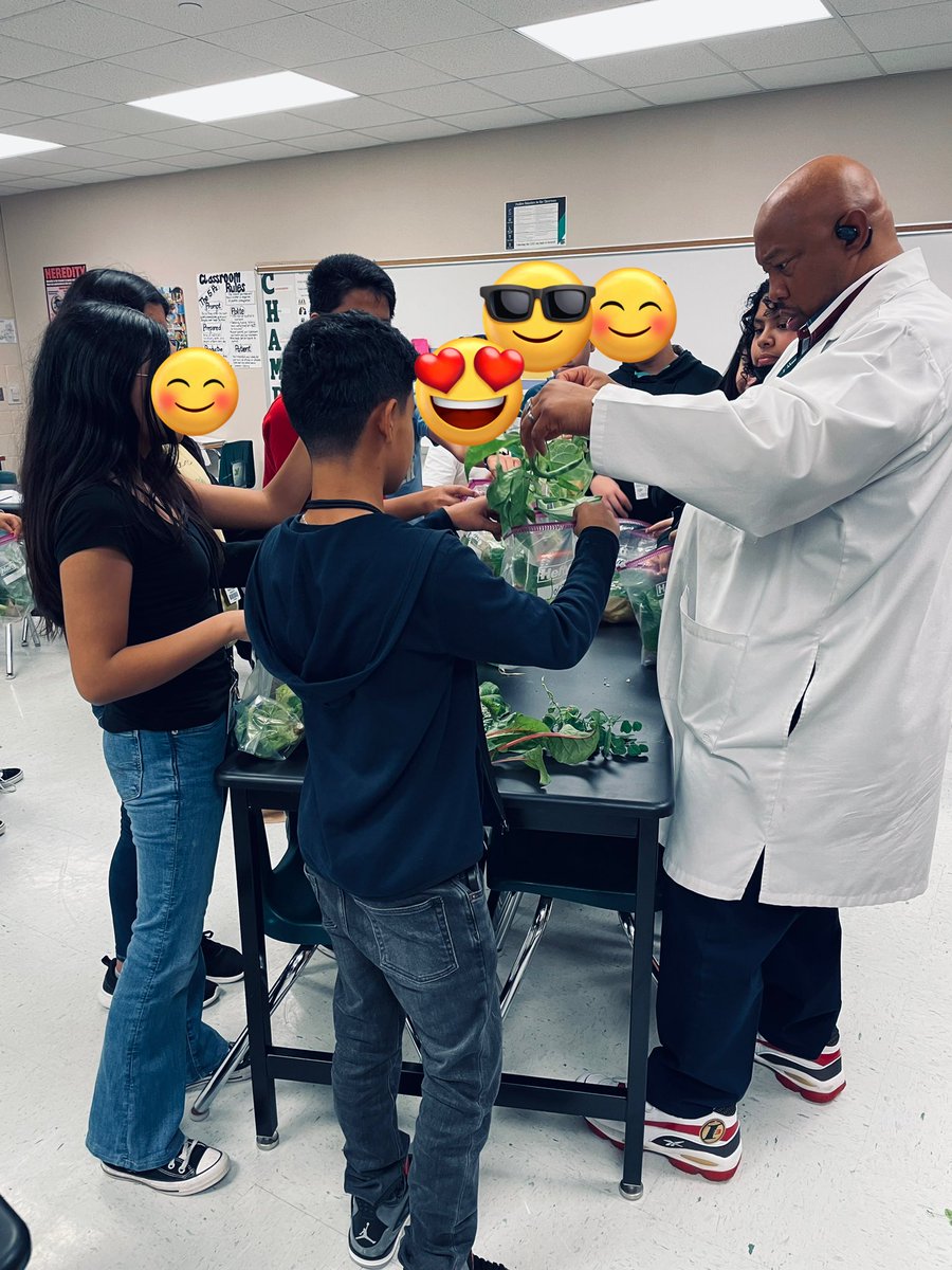 kpwell's tweet photo. It’s harvest day for the students I’m Mr. Whites 5th period science class.  They were excited to take home some lettuce.  They even had a few pea pods and radishes to grow.  Proud of the students for the work they did.  
Way to go!! @charter2005 @SecScienceKISD @CardiffColts https://t.co/COf980w642
