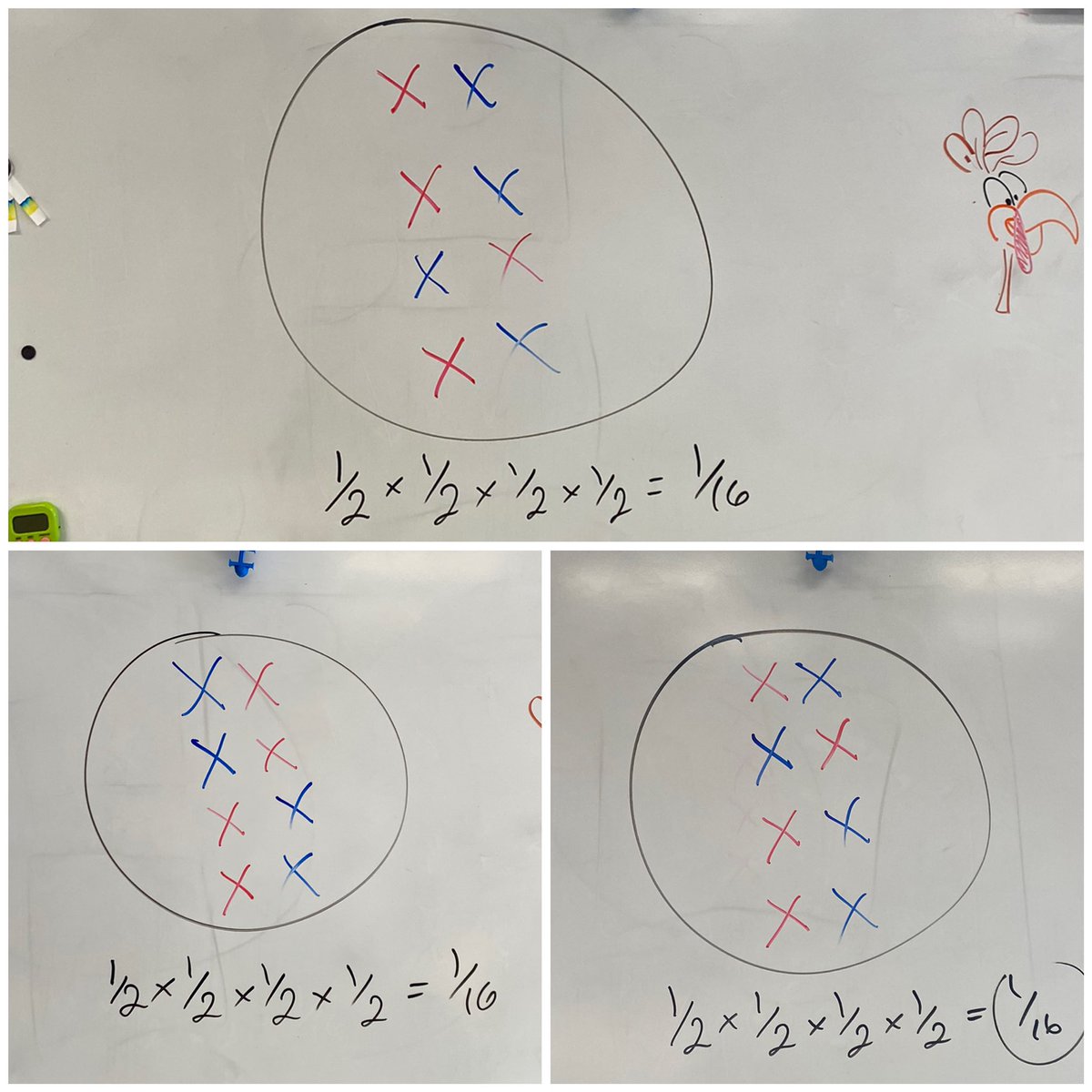RyanAPBio's tweet photo. Check out this independent assortment!!!  Three different gametes from 3 different classes! https://t.co/QfAlb9o2Xs