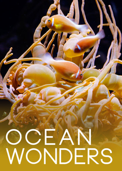 MrReku's tweet photo. @netflix could you please give me some details about this documentary you used to have? it's called Ocean Wonders but there are so many similar and I am trying to find a place to buy it or rent it since you don't stream it anymore. Thanks https://t.co/ZyNXcVgVFL