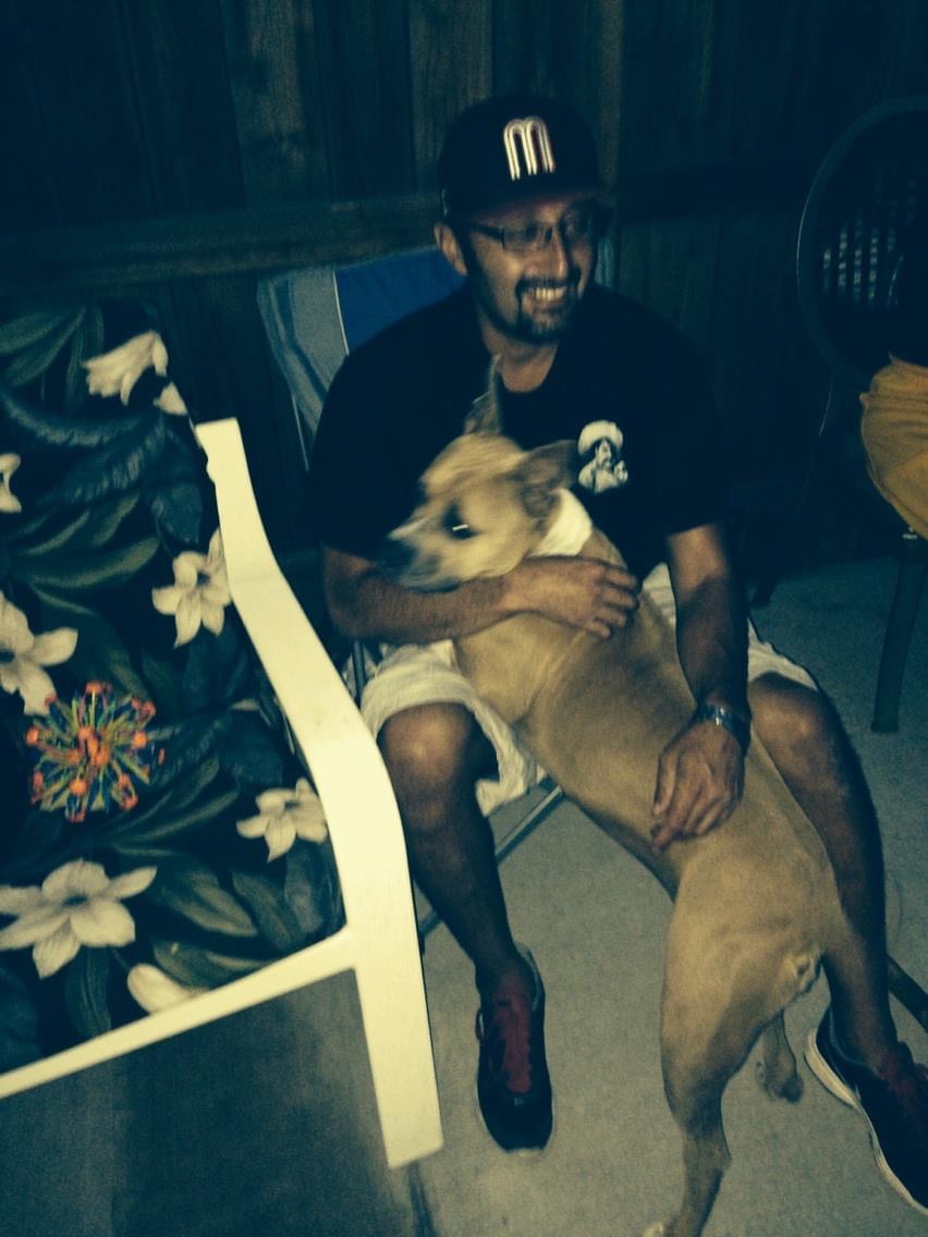 chueco4201's tweet photo. @pitbullsad Nothing but Love #RedNosePit mi Miss Isis https://t.co/h036ZIkVaV