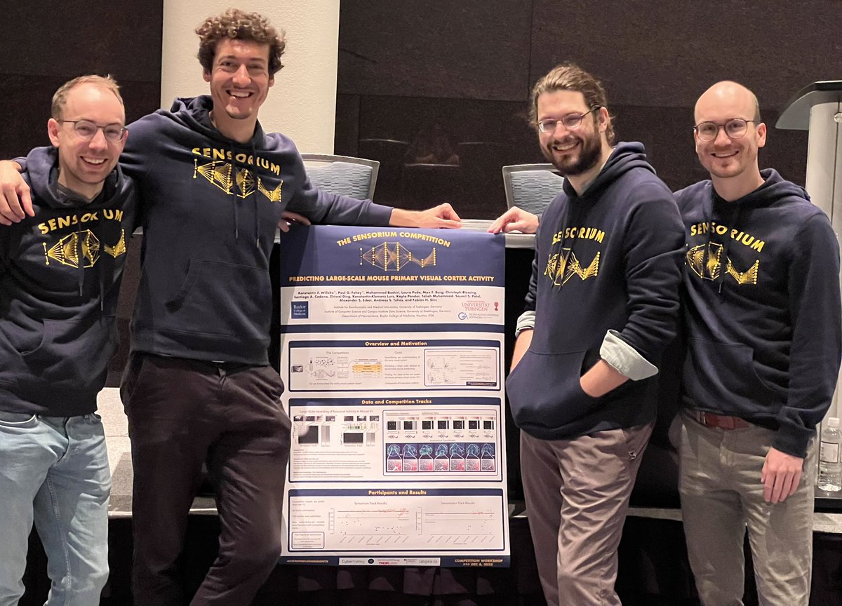 Konstantin Willeke tweet media