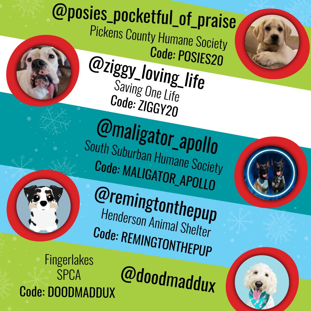 Meet our #WeGiveAJolly ambassador squad!
With your help, each time one of their codes is used on jollypets.com, we will donate a toy to the shelter or rescue they have chosen here. One toy bought = one donation, Two toys bought = two donations and so on! #GivingTuesday