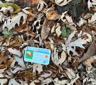 jake_fialkowski's tweet photo. Instead of raking leaves out of a garden before winter, leave them in. They will make the soil much more fertile and better for growing plants. This eliminates the need for fertilizers which can run off into our waterways and can cause many issues. @franklinlorax #apeswater https://t.co/rWVYLfsobZ