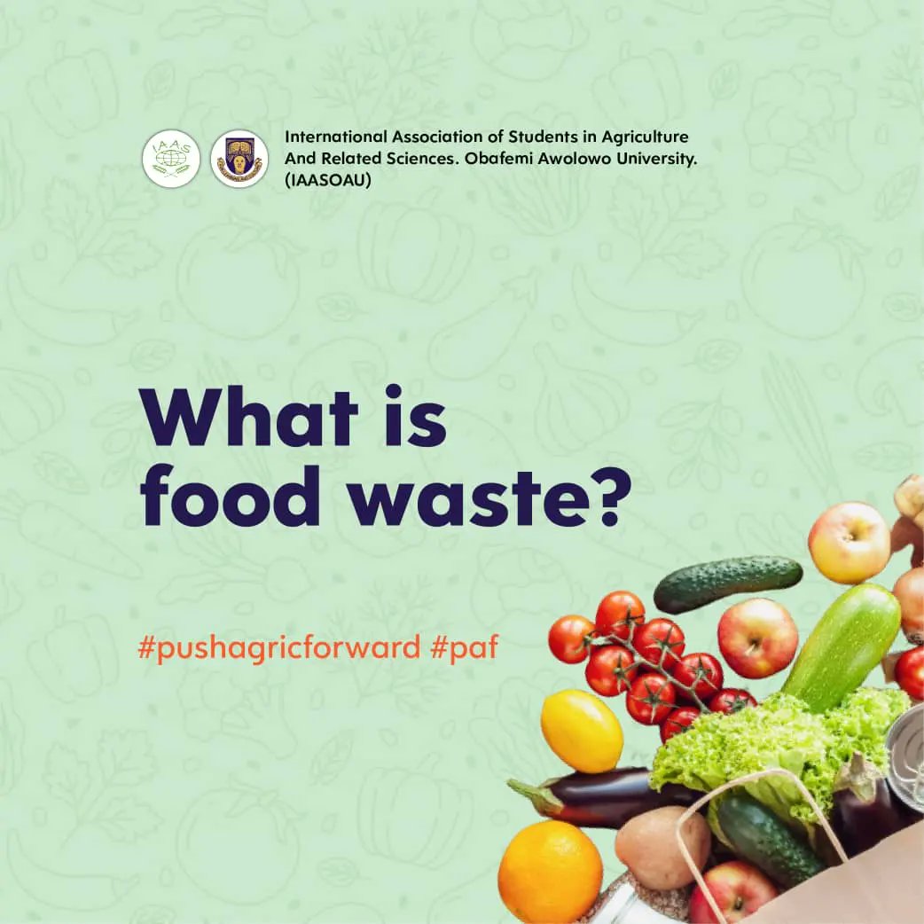 IaasOau's tweet photo. Our nation is faced with an issue of Food loss and Food wastage
The farmer produces and yet not all of what he produces gets to the consumers table
Follow IAAS OAU on our campaign against Food loss and wastage. The change we seek starts with you
#PAF #IAASOAU #IAAS #NoFoodWaste https://t.co/eoCtmfgIoe