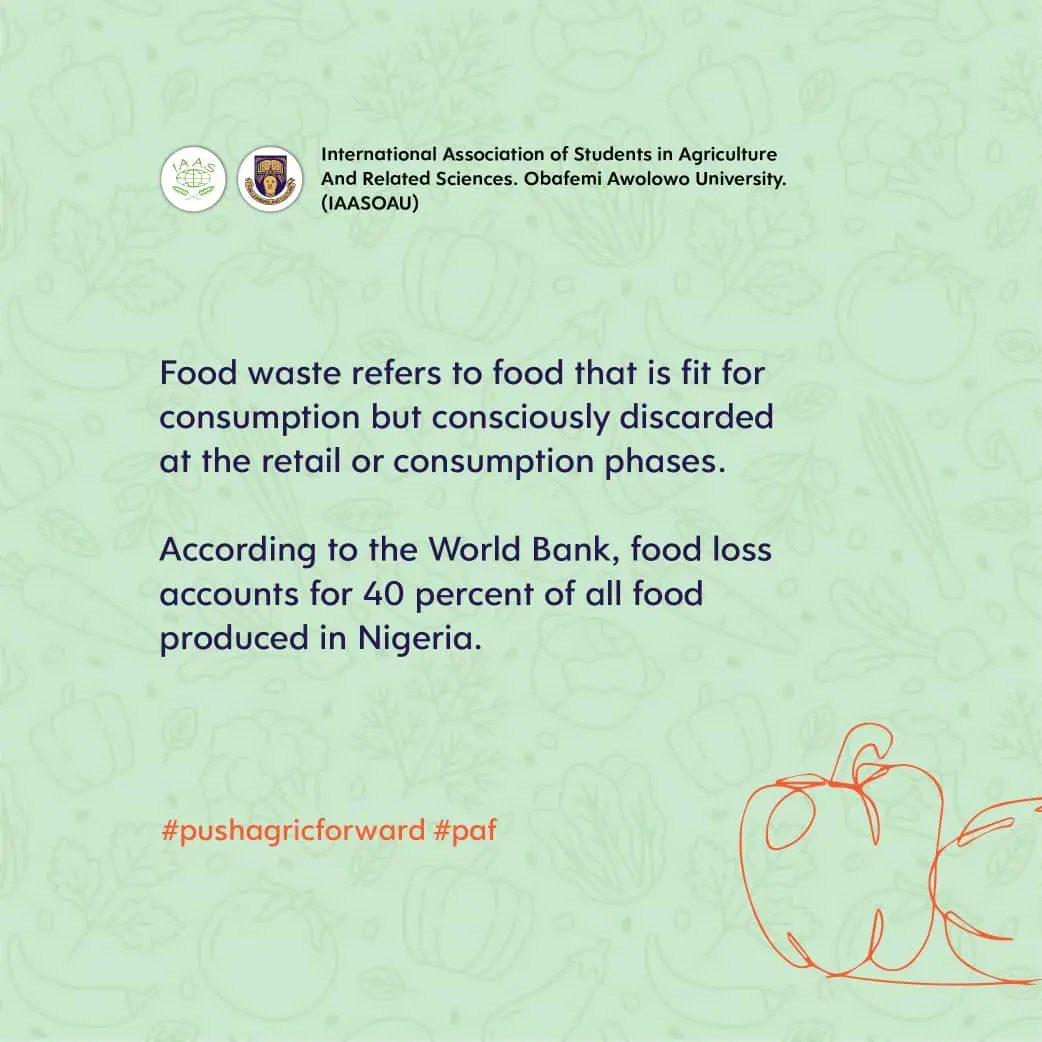 IaasOau's tweet photo. Our nation is faced with an issue of Food loss and Food wastage
The farmer produces and yet not all of what he produces gets to the consumers table
Follow IAAS OAU on our campaign against Food loss and wastage. The change we seek starts with you
#PAF #IAASOAU #IAAS #NoFoodWaste https://t.co/eoCtmfgIoe