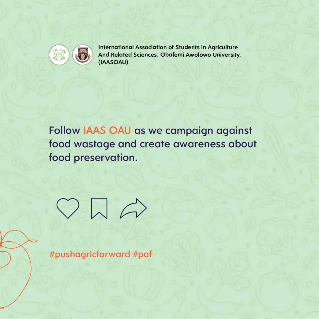 IaasOau's tweet photo. Our nation is faced with an issue of Food loss and Food wastage
The farmer produces and yet not all of what he produces gets to the consumers table
Follow IAAS OAU on our campaign against Food loss and wastage. The change we seek starts with you
#PAF #IAASOAU #IAAS #NoFoodWaste https://t.co/eoCtmfgIoe