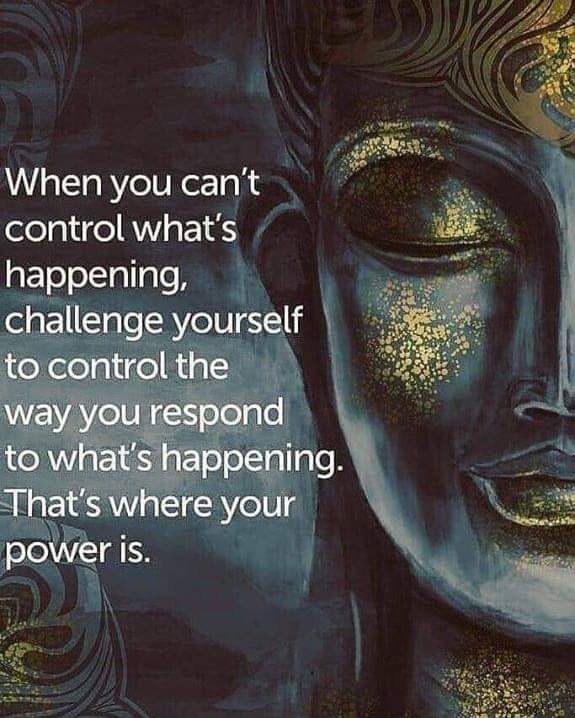 JaneBax40463353's tweet image. 