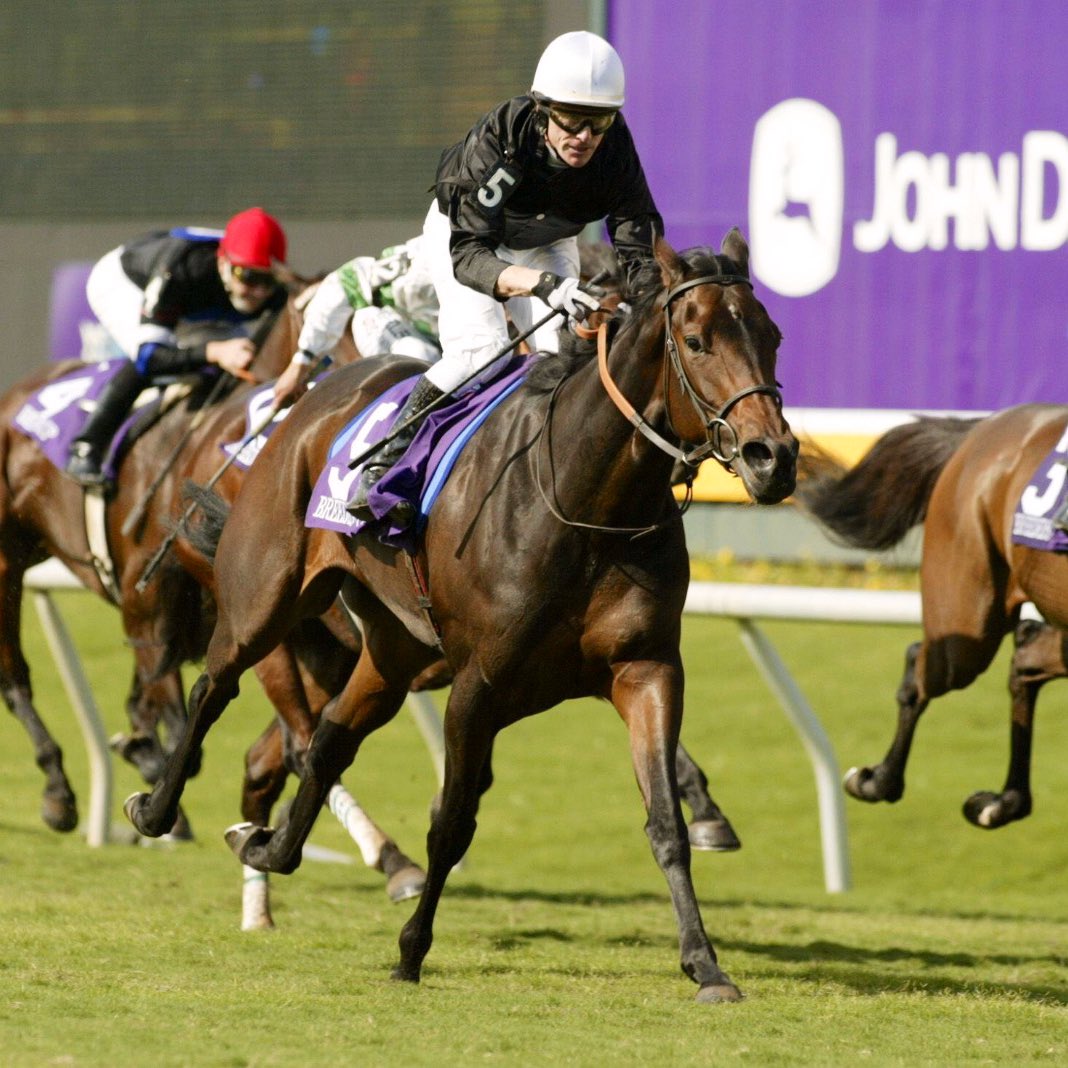 RIP, Ouija Board 🖤🤍 A 7-time Group 1 winner, she was a global star of the sport and a truly remarkable mare. A dual Classic heroine, she won at the highest level in 4 countries across 3 continents. What a legend she was.