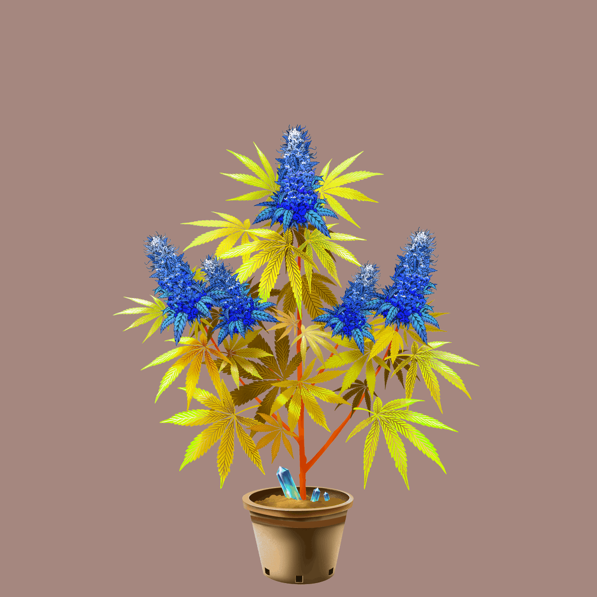 eddi_maromba's tweet photo. My plants are beautiful 💙 

@CryptoCannaClub 

#NFTs #Ethereum #CannabisCommunity https://t.co/HSX1g5FVzI