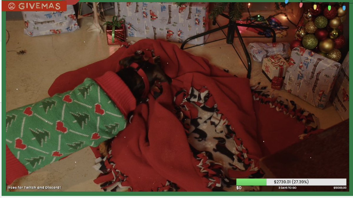 heartsupport's tweet photo. We're streaming for #givemas RIGHT NOW!! Tune in for some fun Christmas themed shenanigans (dogs are involved) https://t.co/TEY8Q4rCy3 WE'RE LIVE ALL WEEK!!! https://t.co/KHzGsexYlo