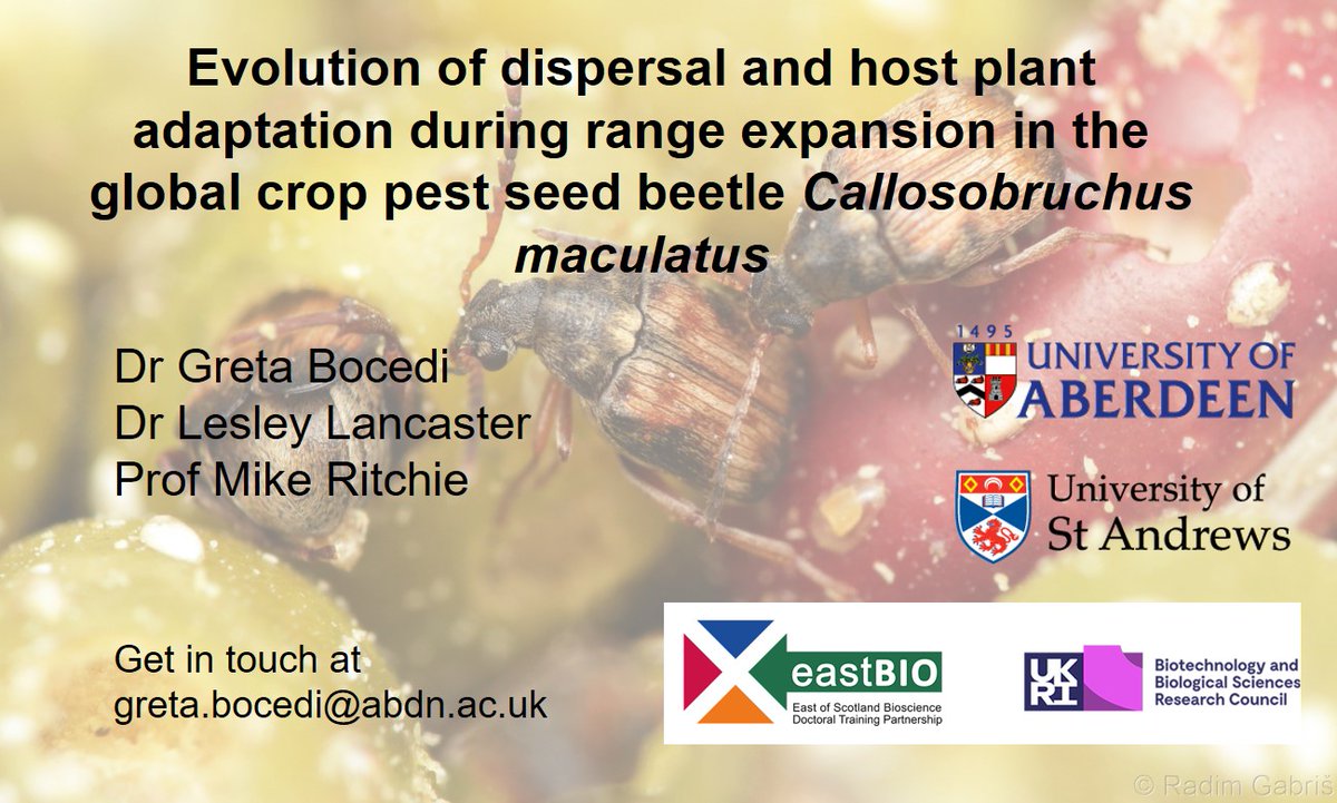 Greta Bocedi (@bocedigreta) on Twitter photo Less then a week to apply to this fun project <a href="/UoABioSci/">School of Biological Sciences</a> <a href="/EastbioDTP/">EastBio DTP</a>! findaphd.com/phds/project/e… Less then a week to apply to this fun project <a href="/UoABioSci/">School of Biological Sciences</a> <a href="/EastbioDTP/">EastBio DTP</a>! findaphd.com/phds/project/e…