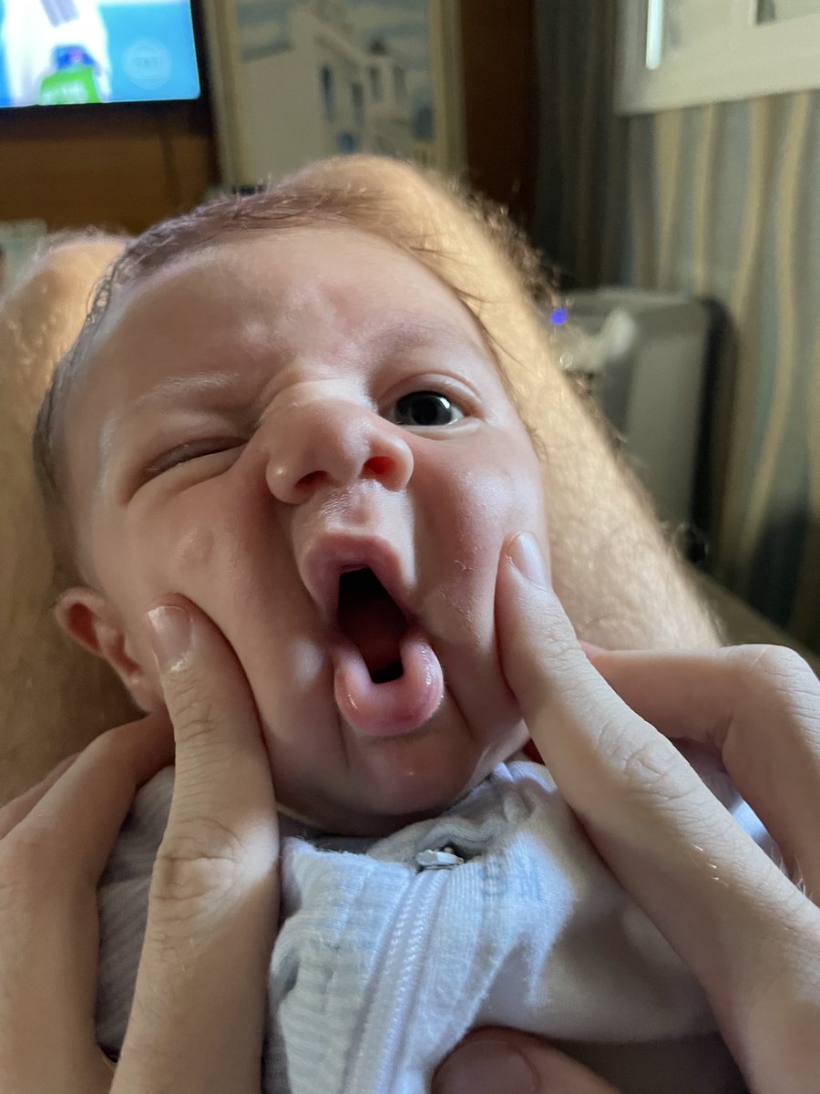 Heelixir's tweet image. Tutuzinho passando na tl de vocês 💙