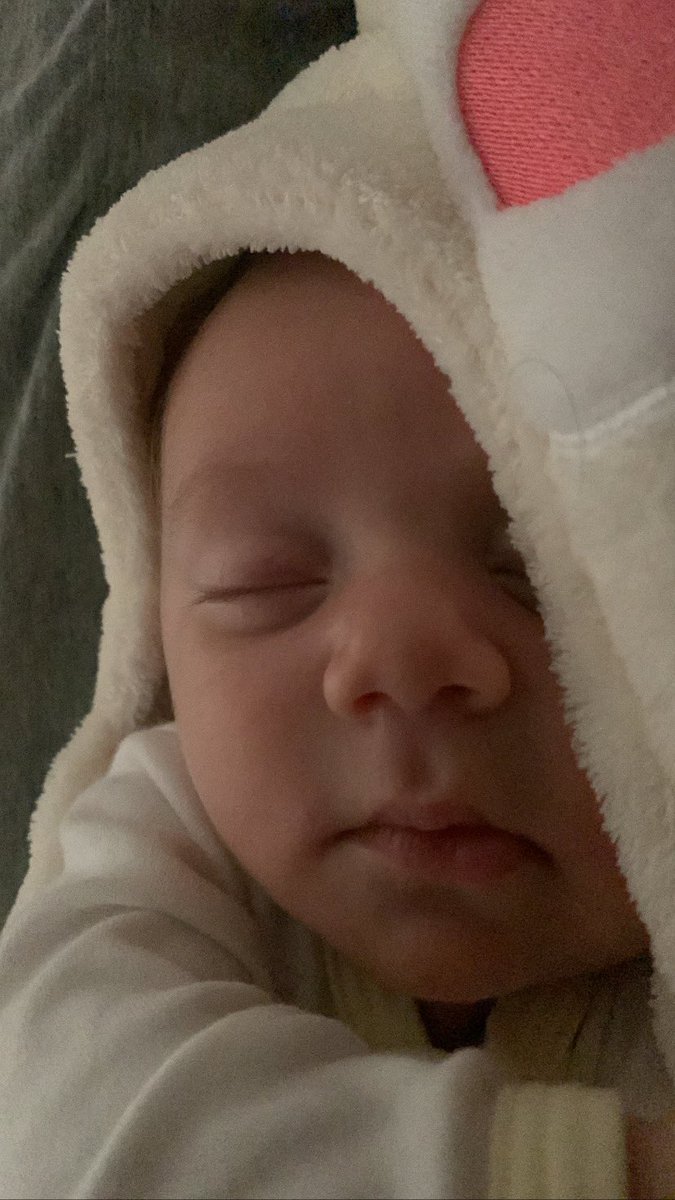 Heelixir's tweet image. Tutuzinho passando na tl de vocês 💙