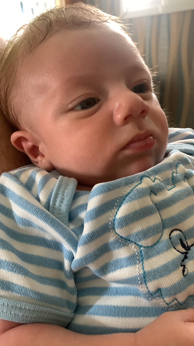 Heelixir's tweet image. Tutuzinho passando na tl de vocês 💙