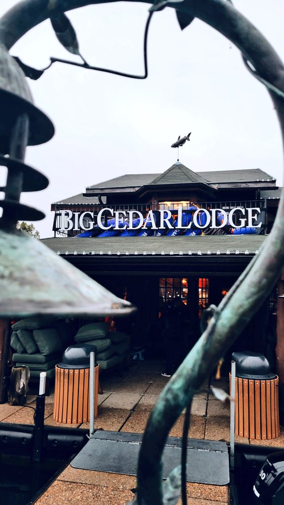 CoastingThunder's tweet photo. Misty days remind us of our trip to @BigCedarLodge If you haven't been, maybe this helps! ⬇️👀🎬

https://t.co/02s6RnhhQ5 https://t.co/0zv0pnwL9W