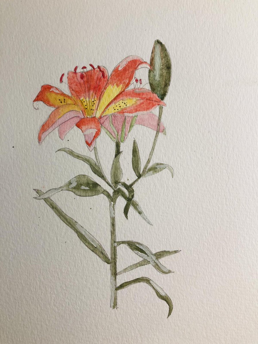 JonBergdahl's tweet photo. Our 10yo daughter did this today ❤️ https://t.co/2vZnNi1En9