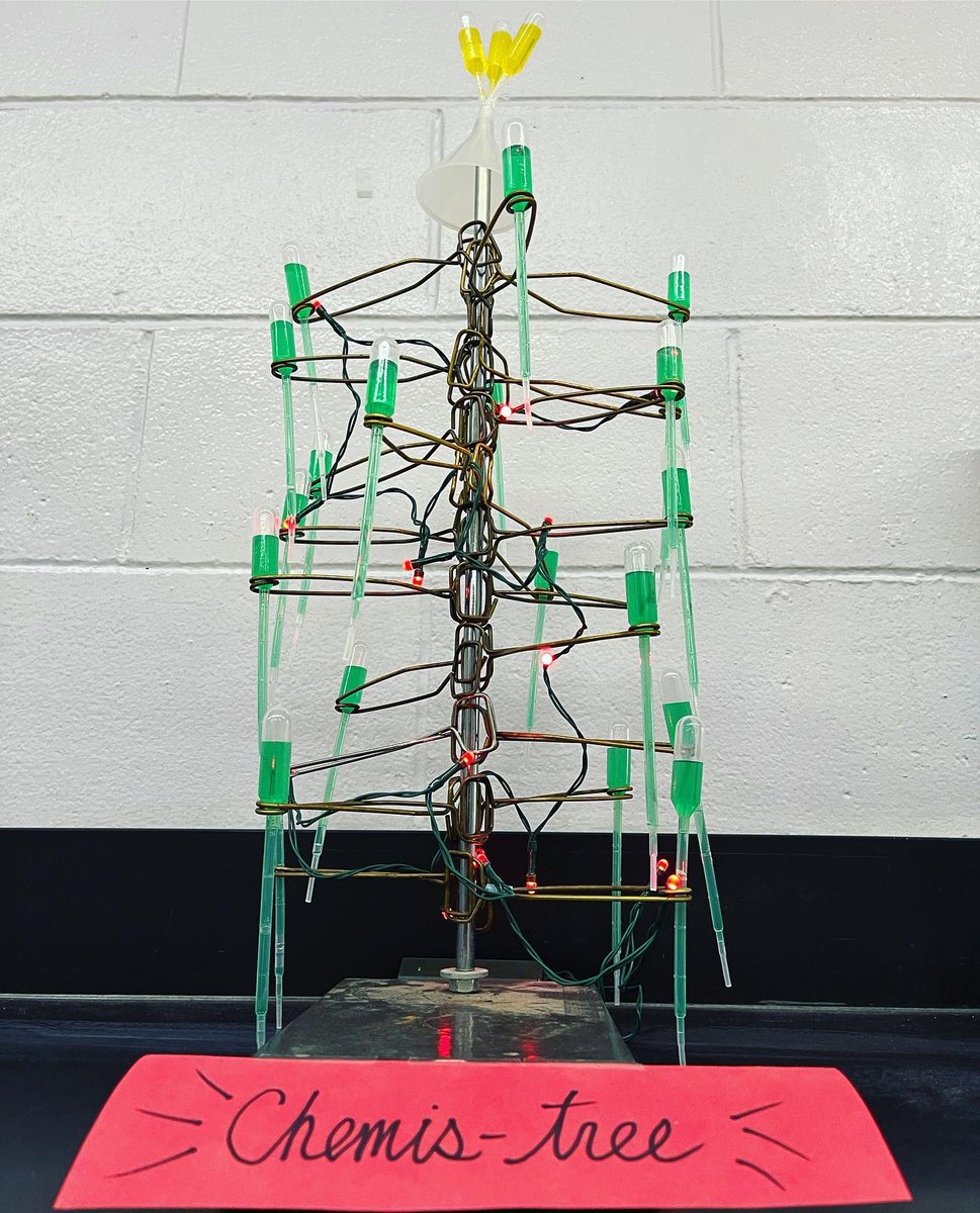 torchianator's tweet image. It’s that time again, so I updated my Chemis-trees! 🎄💜🖤 #KnightScience #APBio #CPBio @FazioSally @OldBridgeTPS