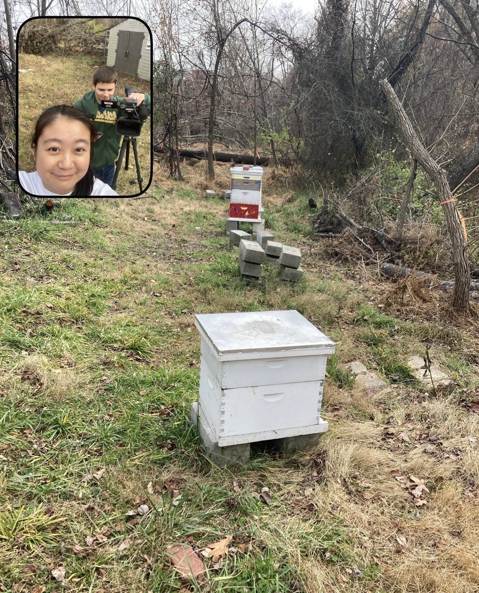christinezhu142's tweet photo. A 🐝real for quick turn week in #j361jd! @AaronArnstein and I will have packages on the beekeeping club’s return to campus after a summer storm knocked down its beehives. https://t.co/v2ixtsLen4