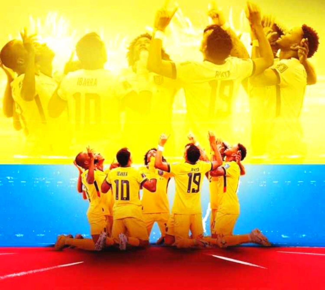 Alexvivas11's tweet photo. Son unos verdaderos campeones, muchas gracias muchachos,  hicieron quedar super bien al país en el mundial #Ecuador  #MundialQatar2022 #fútbol 🇪🇨 https://t.co/VW4eZnpHLV