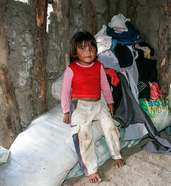 CEDA Washington tweet media