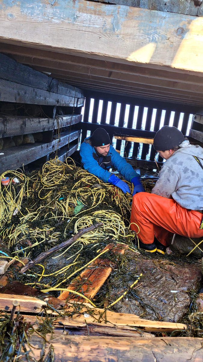 AHOI_NL's tweet photo. Our work continues, collecting lost &amp; damaged fishing gear on the southwest coast of NL! In 7 days we've collected 6700+lbs of rope, traps, damaged fishing boats &amp; more. Read about our efforts &amp; others who have been funded by @DFO_MPO in our press release
https://t.co/v82wPgF0YA https://t.co/1xSHKsFiYA