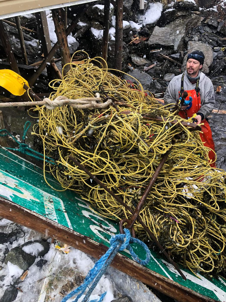 AHOI_NL's tweet photo. Our work continues, collecting lost &amp; damaged fishing gear on the southwest coast of NL! In 7 days we've collected 6700+lbs of rope, traps, damaged fishing boats &amp; more. Read about our efforts &amp; others who have been funded by @DFO_MPO in our press release
https://t.co/v82wPgF0YA https://t.co/1xSHKsFiYA