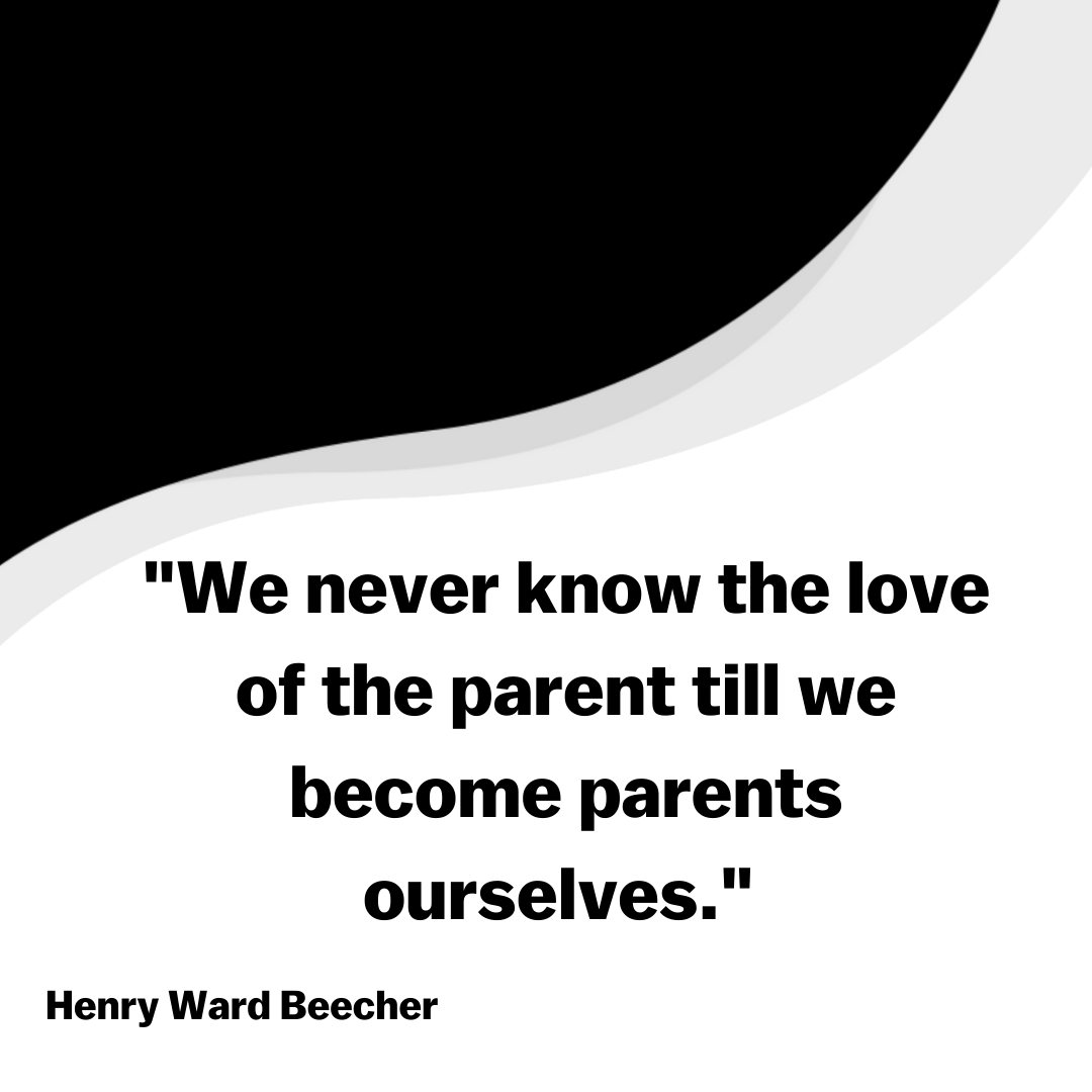 Daddy’s Digest tweet media