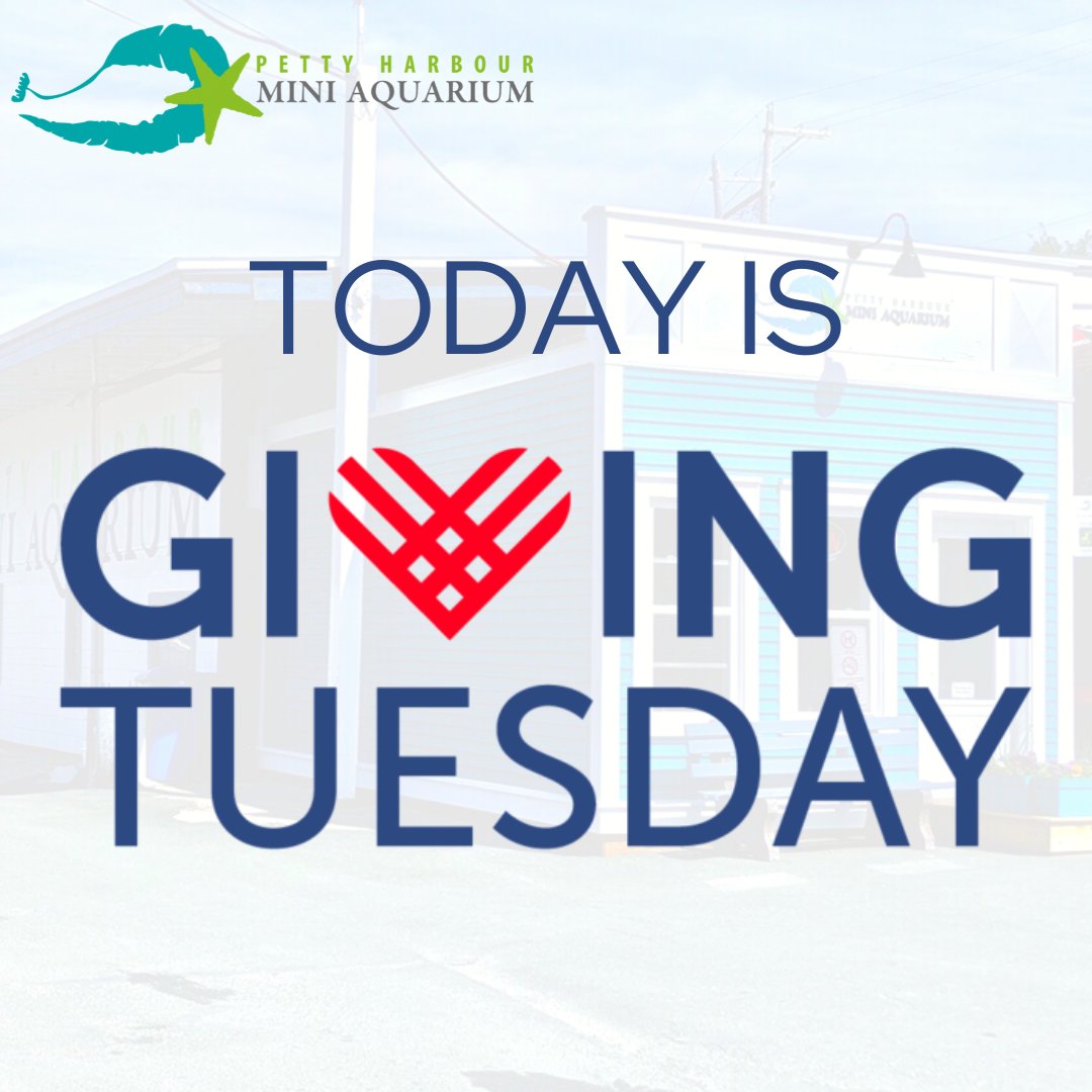 #GivingTuesday has arrived! 
Every dollar donated to the Mini Aquarium today is an entry to win a $5,000 charity gift card through CanadaHelps. We deeply appreciate all support given to us today and always😊 
Click here to donate: miniaqua.org/donors