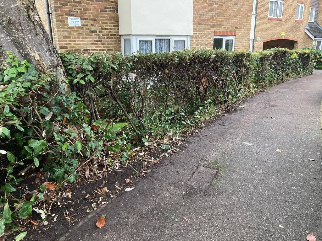 Garden Thyme Ltd tweet media