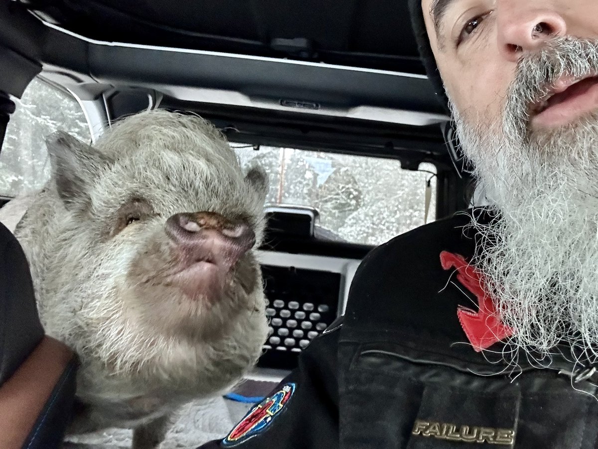 Tom French tweet media