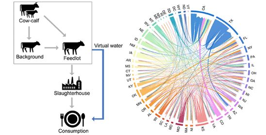 EnvSciTech's tweet photo. Researchers use an optimization-based framework to trace cattle and beef flows between counties for understanding virtual water impacts associated with US beef consumption.  Read the full story in ES&amp;T:  https://t.co/O6k3SneDqk
@khanna_lab https://t.co/S0bksnMACw