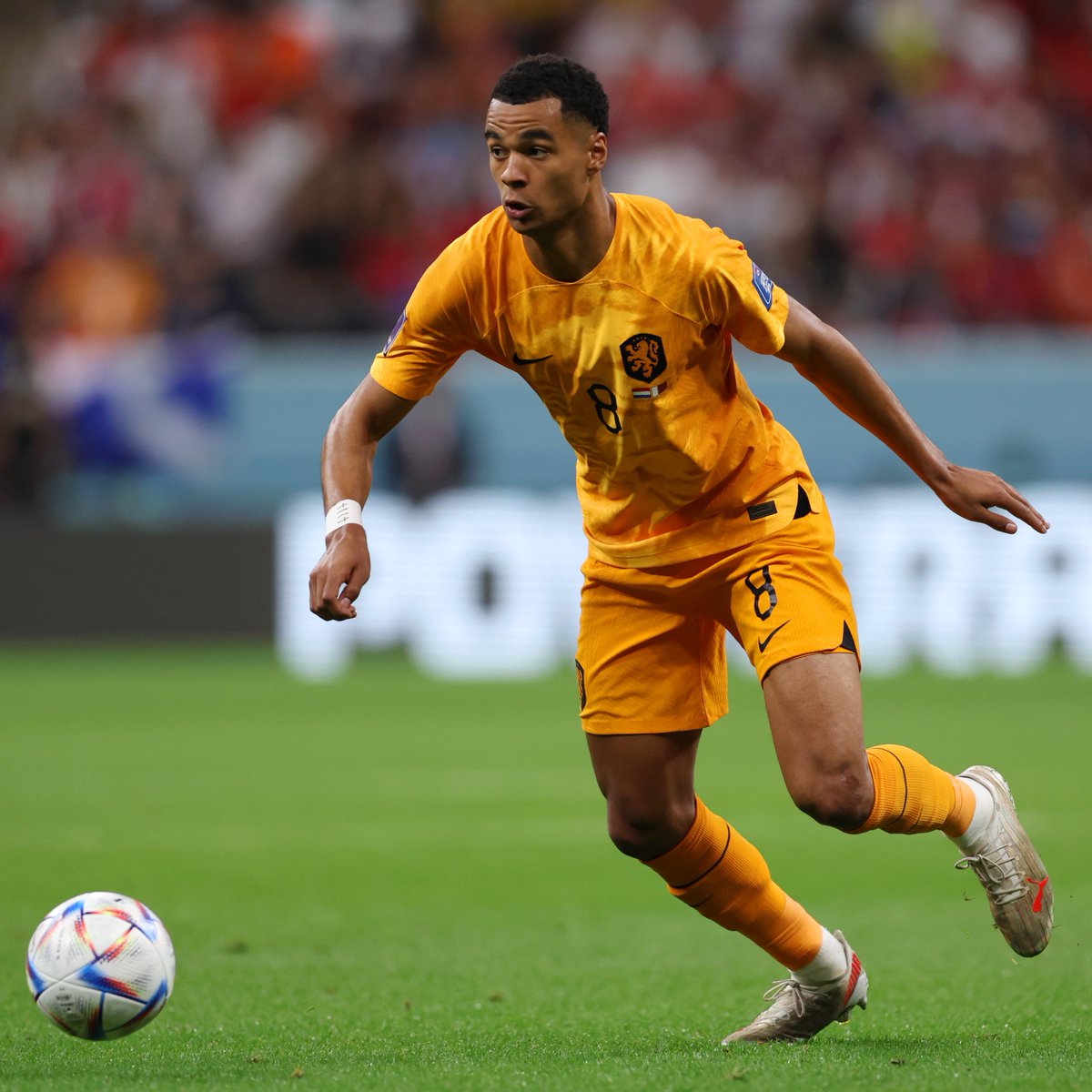 INTRATABLE GAKPO 💥

El extremo del PSV Eindhoven marcó por 3er partido consecutivo y es el goleador de la #CopaMundialFIFA junto a Enner Valencia y Kylian Mbappe con 3 tantos.

¿Será la revelación de Qatar 2022?