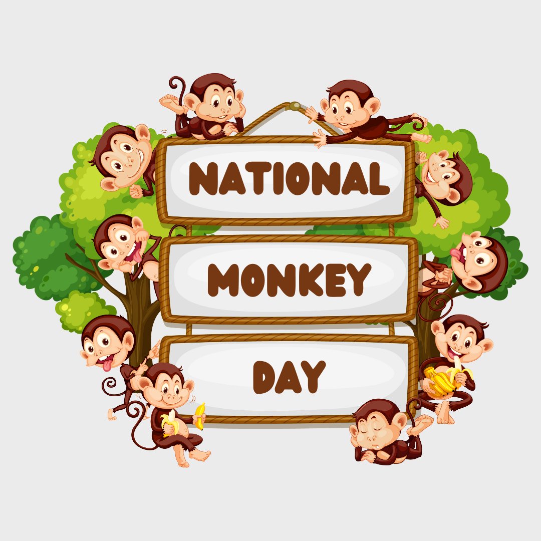 TechACCESS of RI tweet media