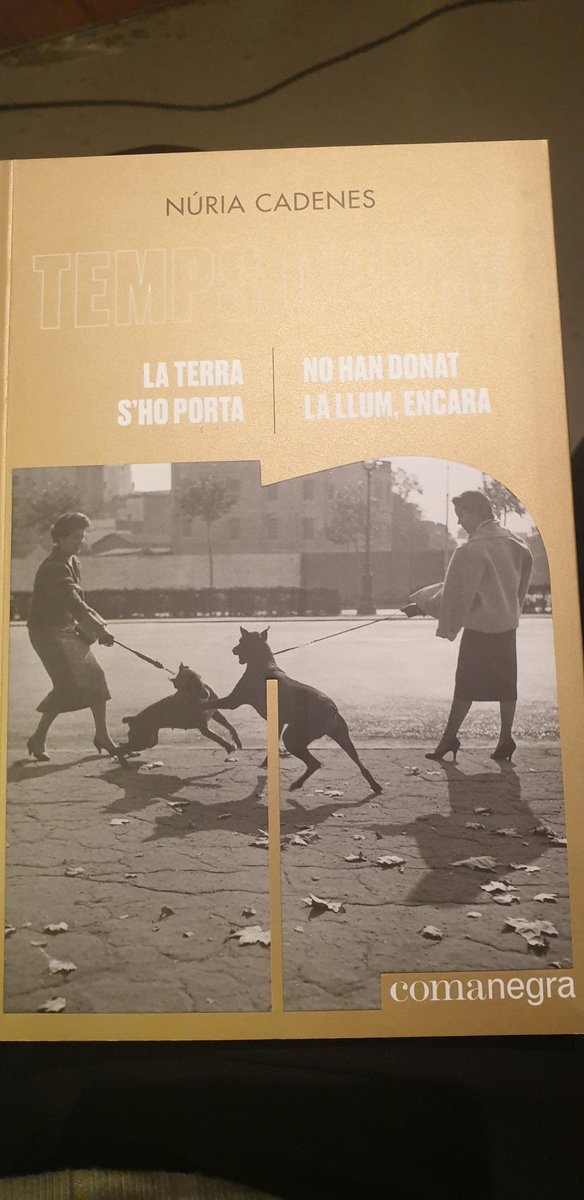 GemmaPasqual's tweet photo. T'imagines una colla d'Escriptors, de generacions successives, embarcats a desenvolupar aquest llibre? Es preguntava #Pedrolo. La @ncadenes ho fa! La València pedroliana celebrem #TempsObert https://t.co/R7VemMksss