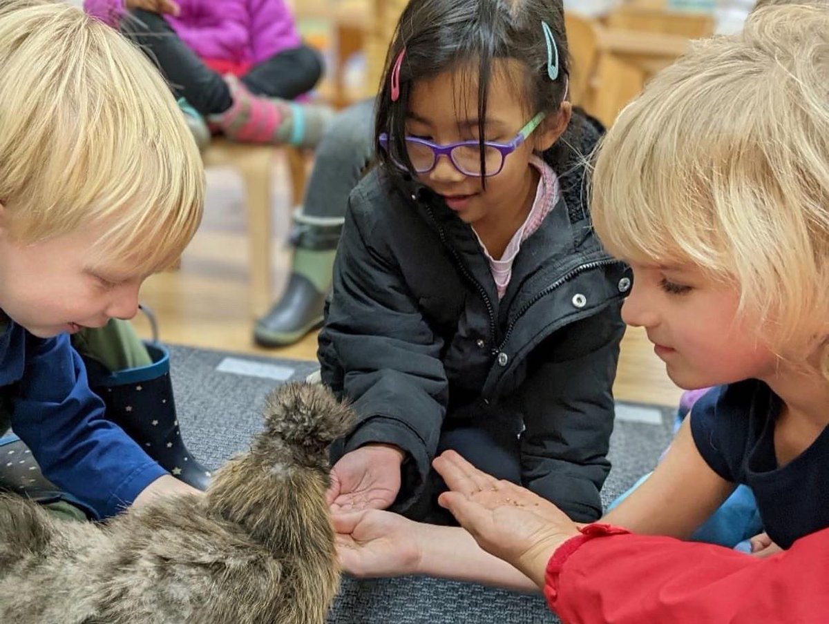 High Meadows School tweet media