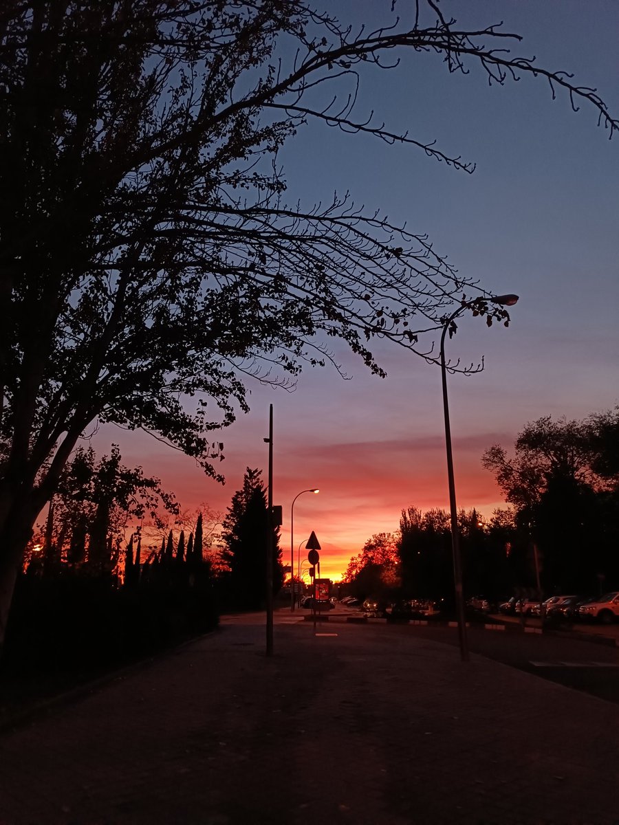 nesiines73's tweet photo. Cerves y atardecer https://t.co/BOzfai2oDh