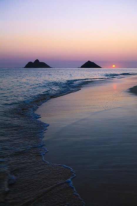 Aleksan52094351's tweet photo. Good evening 🧡💜 https://t.co/SnVymca84t
