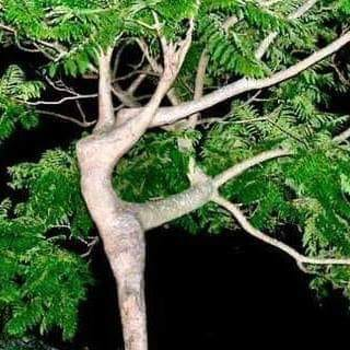 The exuberance of nature is all around us. Let's follow suit.