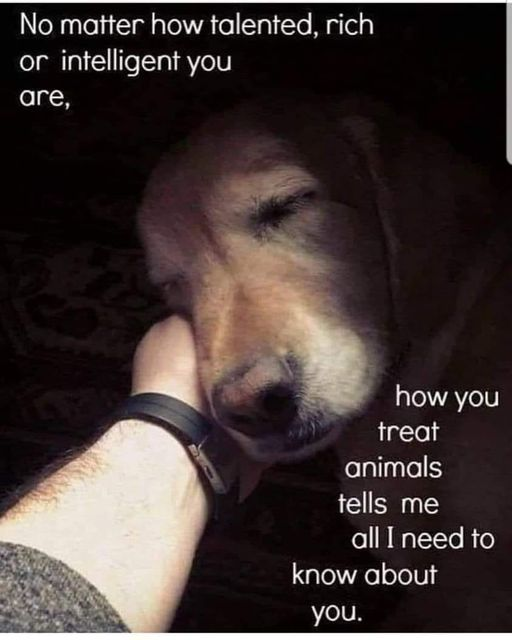 Correct!!!