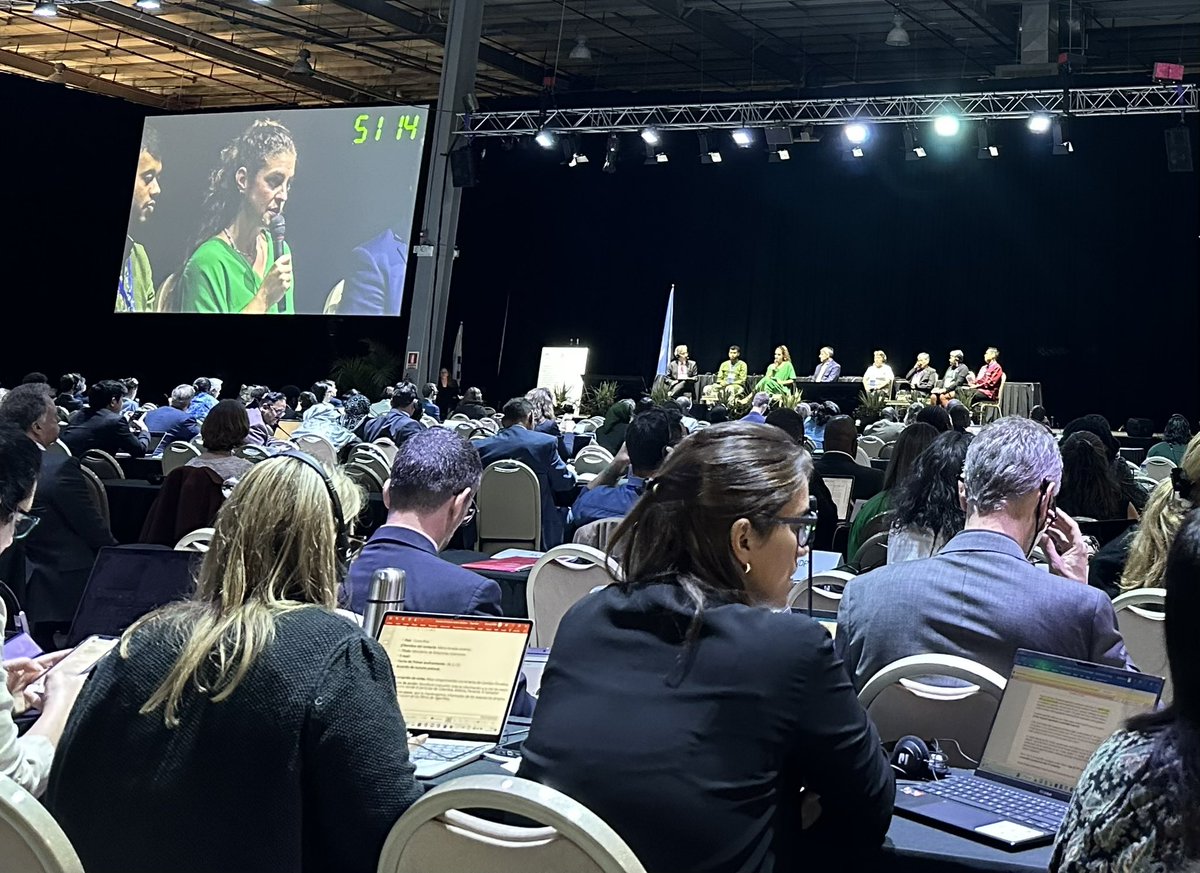 EmilyCCowan's tweet photo. @BCarneyAlmroth on the #INC multi-stakeholder forum speaking on behalf of the #SNEPT and how scientists can provide robust scientific evidence 👩🏽‍🔬 to negotiations 📑 on not only the problems, but solutions 🌟. As always the solutions will require a full lifecycle approach 🛟 👏🏼 https://t.co/NXhVT3za2p