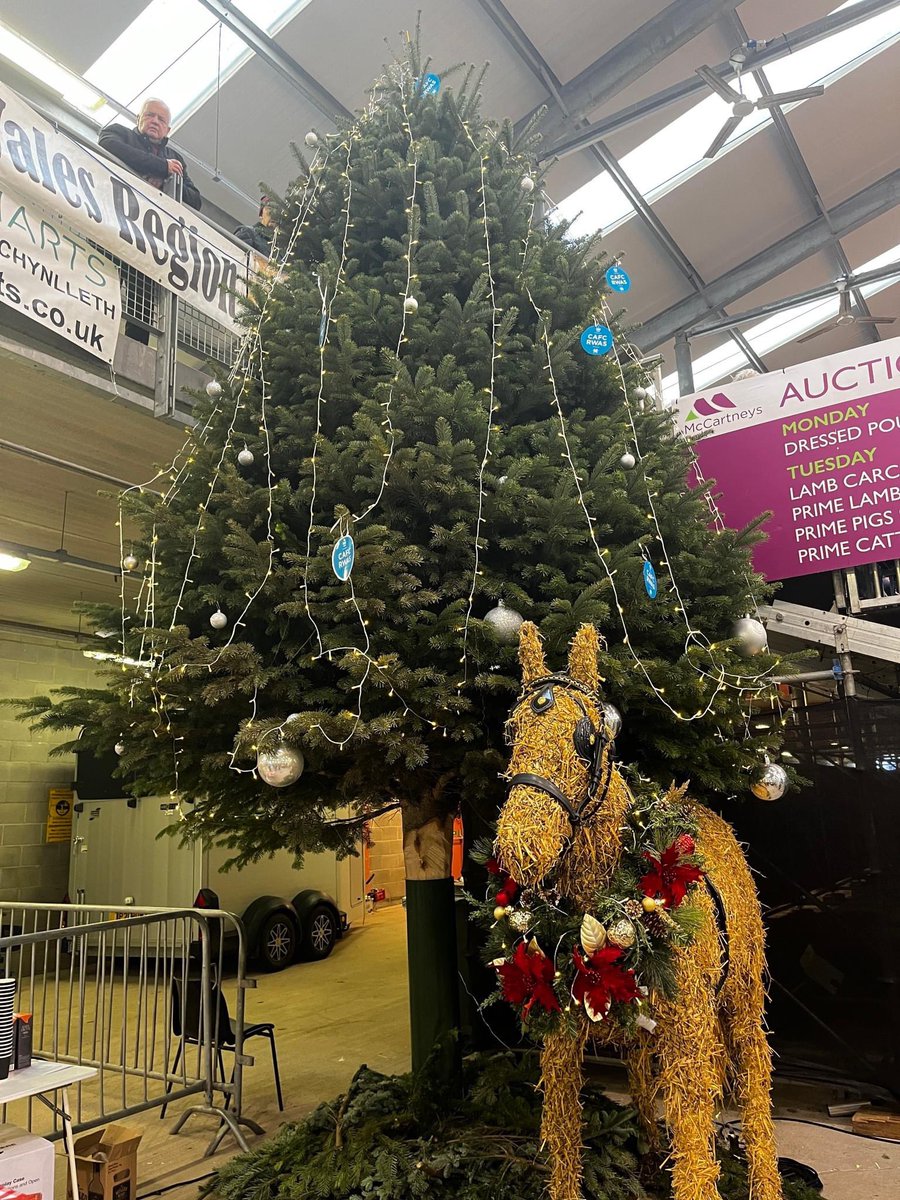 Office view today! @GlamorganRwas @royalwelshshow #WinterFair2022 #WelshAgriculture