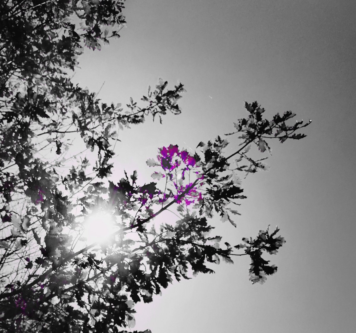 ✴️✴️💜✴️✴️✴️✴️✴️✴️✴️
GᑌTᕮ ᖴᖇᕮᑌᑎᗪᕮ ᕮᖇKᕮᑎᑎT
ᗰᗩᑎ ᒪᕮIᑕᕼTᕮᖇ,
ᗯᕮᑎᑎ ᗪᗩS ᒪᕮᗷᕮᑎ
Sᑕᕼᗯᕮᖇᕮᖇ ᗯIᖇᗪ
✴️✴️✴️✴️✴️✴️✴️💜✴️✴️