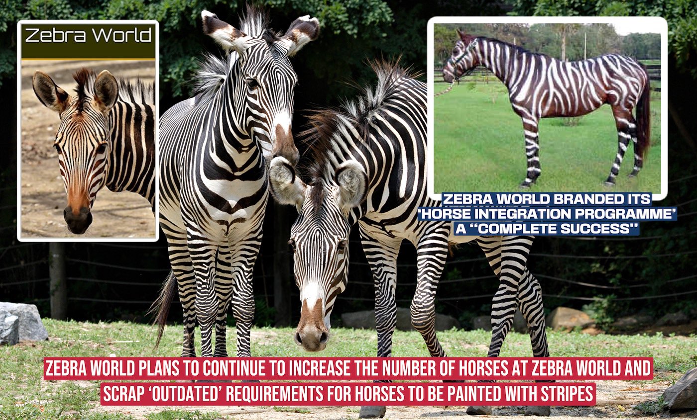 ɖʀʊӄքǟ ӄʊռʟɛʏ 🇧🇹🇹🇩 on Twitter "25 OF ZEBRAS AT ‘ZEBRA WORLD’ NOW