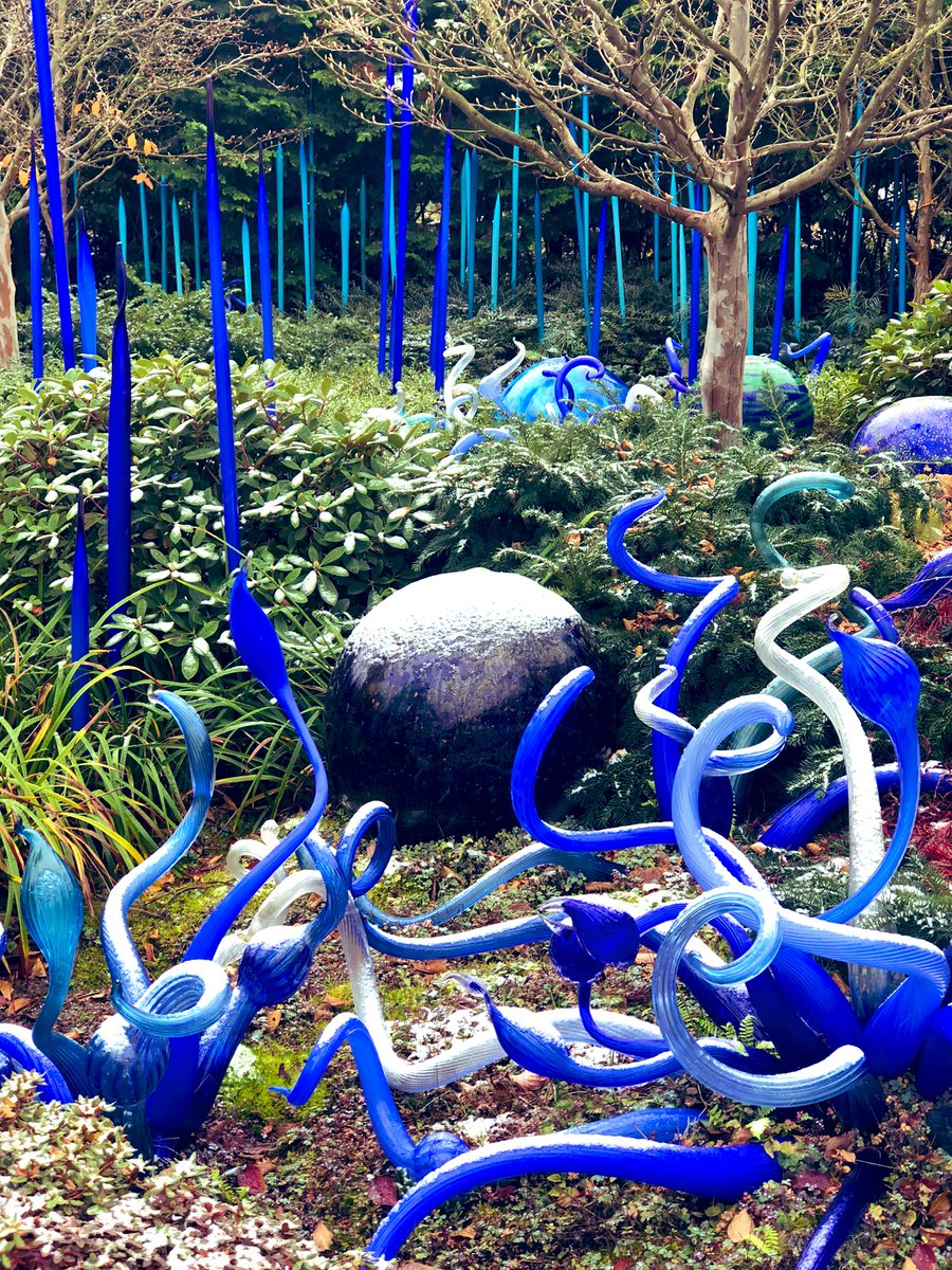 A light dusting of snow in our Garden today! #snow #seattle #winter #chihulygardenandglass #chihulygg